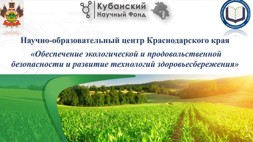 КубГУ принял участие в разработке концепции Научно-образовательного центра Краснодарского края